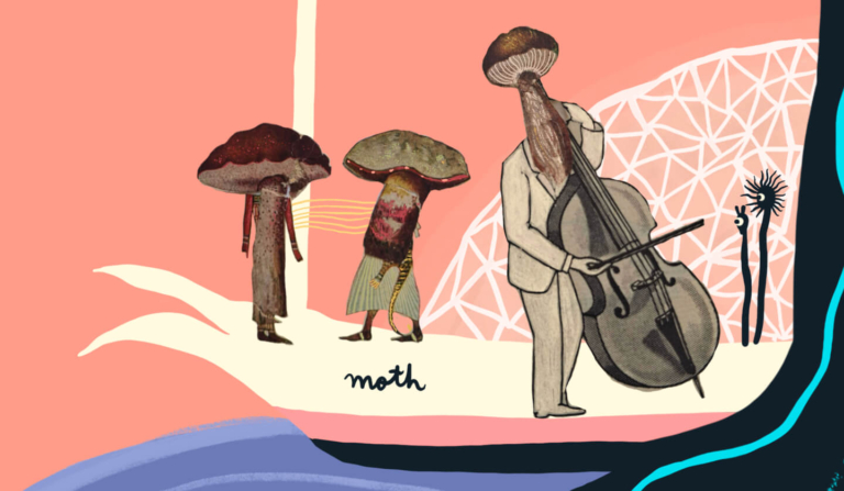 Pushing the Boundaries of Legal Imagination in Emergence Magazine