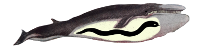 Illustrative image