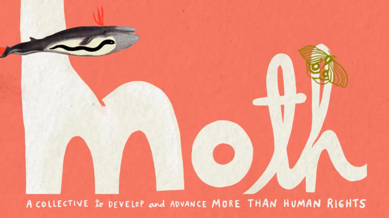 Tools Used to Implement More-Than-Human Rights