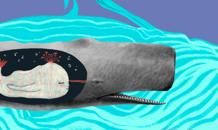 Understanding cetacean language is only the beginning