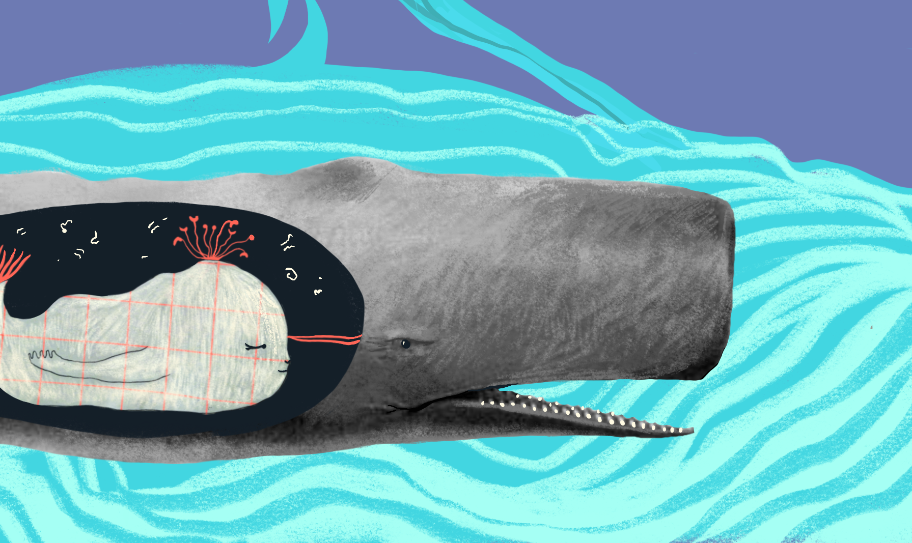 Source / Credit: Project CETI, https://www.projectceti.org/