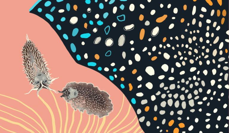 Nature and Humans: Are They Interdependent?