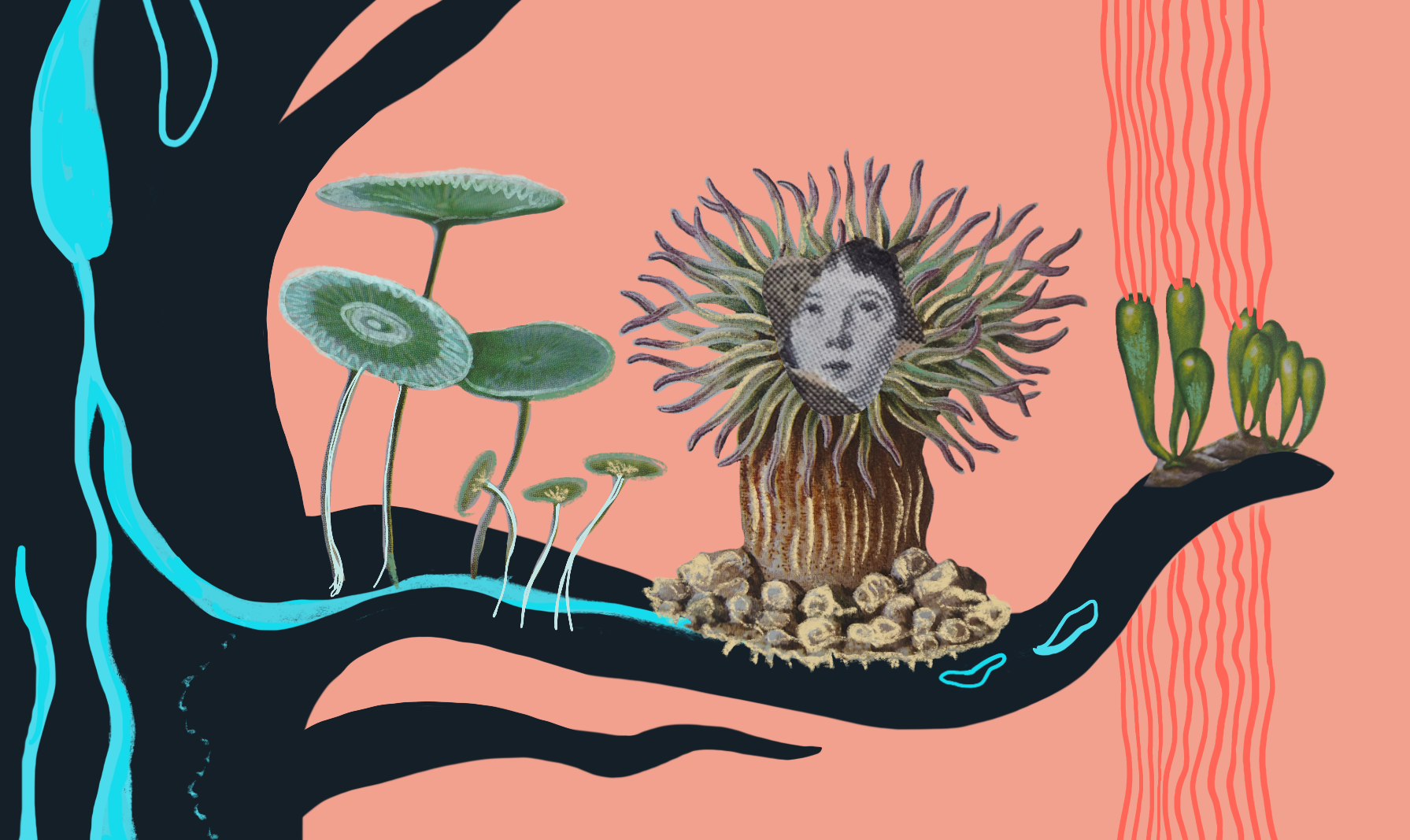 Illustrative image