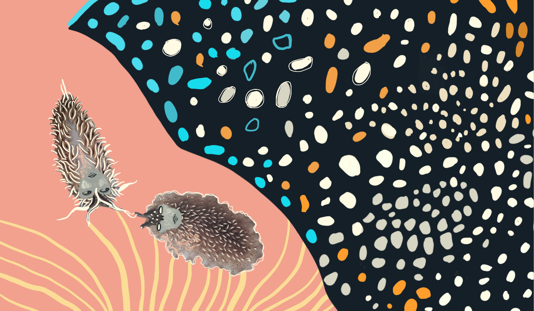 Illustrative image