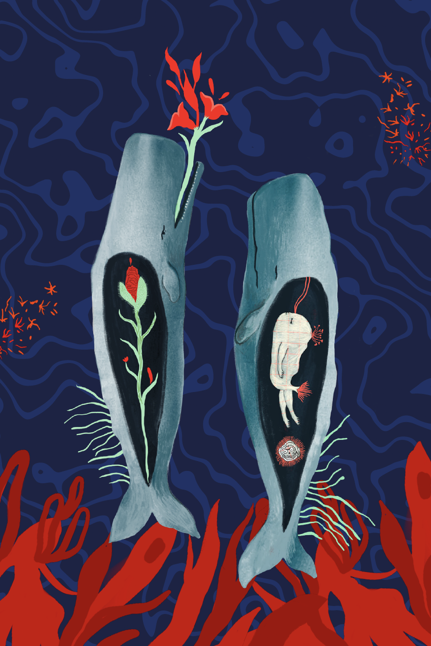 Illustrative image